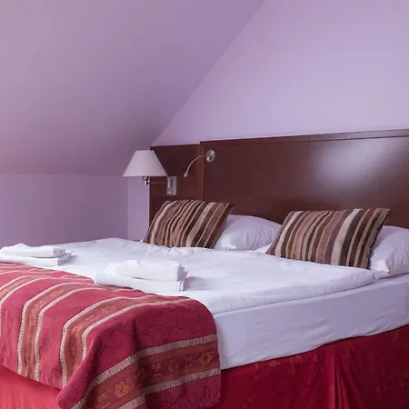 Hotel Atrium Vyškov