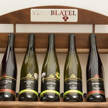 Atrium 호텔 비슈코브