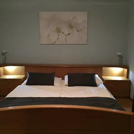 호텔 Atrium 비슈코브