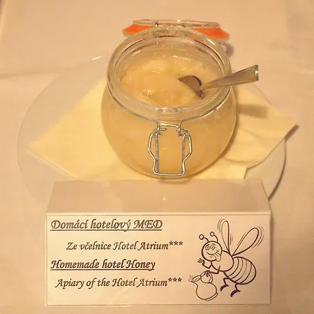 Atrium 3* 비슈코브